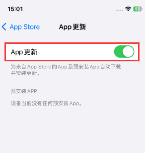龙游苹果15维修中心如何让iPhone15APP自动更新