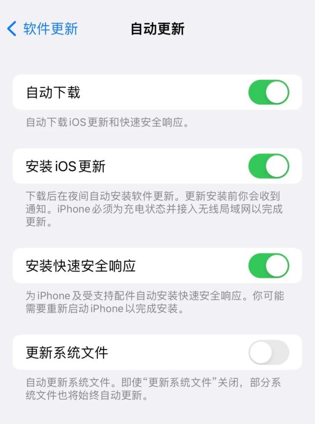 龙游苹果手机维修分享苹果快速安全响应更新有必要安装吗 